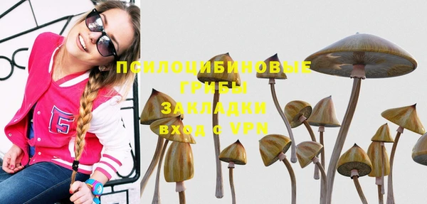 синтетический гашиш Володарск